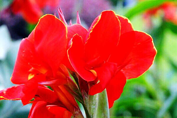 詠美最新作品——開(kāi)啟智能生活科技之門(mén)的新紀元