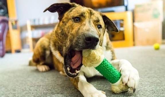 工礦燈具 第49頁(yè)