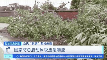 超強臺風(fēng)鸚鵡來(lái)襲，最新路徑動(dòng)態(tài)全解析???