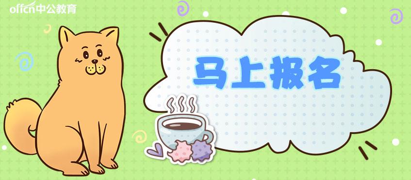 通安最新招聘，啟程探索自然美景，尋找內心的寧靜之旅