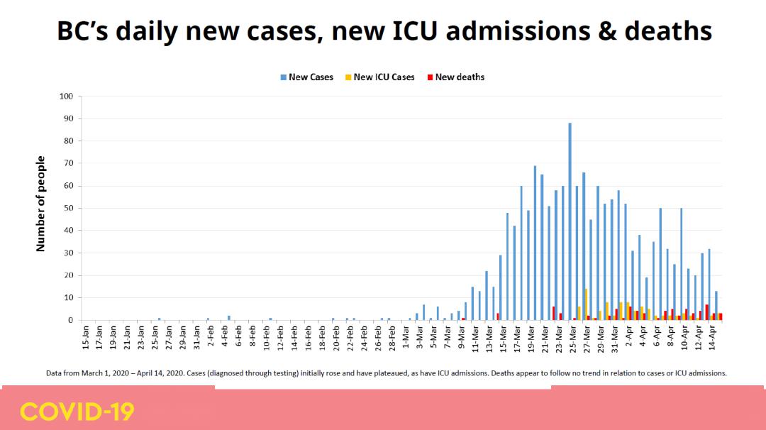 印度抗疫最新數據與大自然呼喚的心靈之旅時(shí)刻