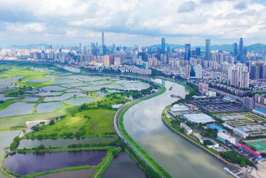 當下流行語(yǔ)探尋之旅，與大自然共舞，尋找內心平靜之旅