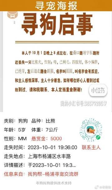 上海狗狗領(lǐng)養最新資訊