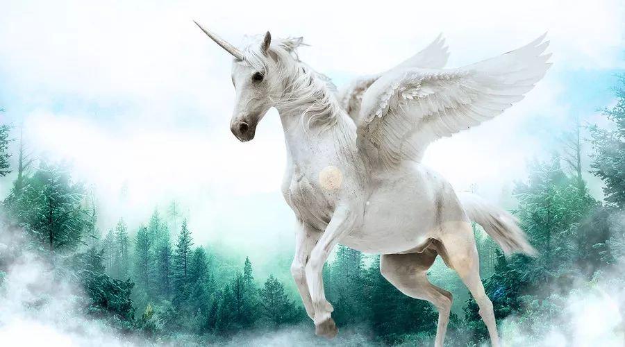 中國最新獨角獸，自信與成就感的源泉